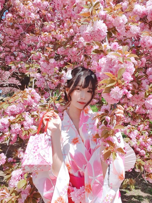 コスプレイヤー쫑긋(ぴぴ)のTwitter画像2