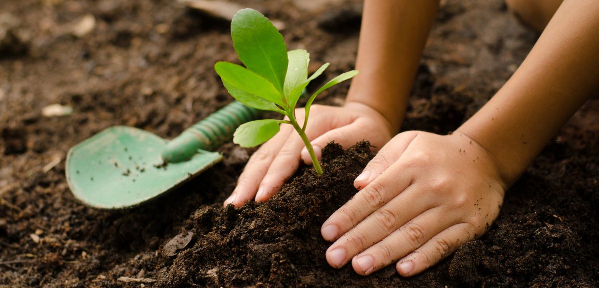 #EarthDay At Lazy Flora, we care deeply about the environment, so we wanted to do something special to help the planet we call home!

Until midnight, we will put £1 from every new purchase made towards supporting the work of EarthDay.org .

bit.ly/3v7rM0p