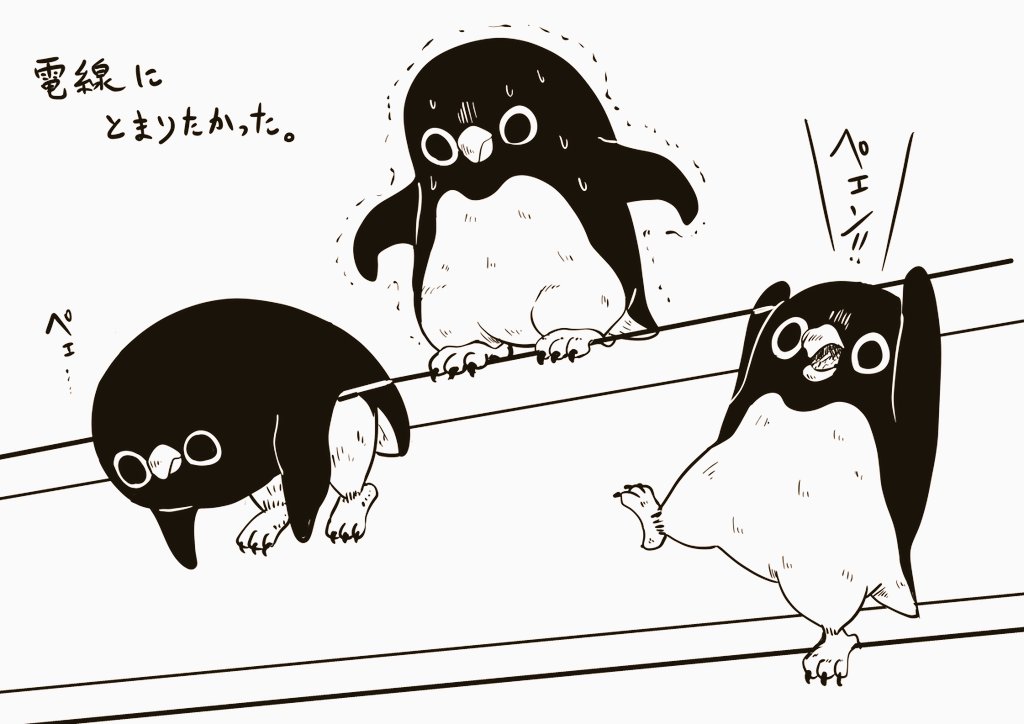 【電線】
スズメに憧れて、電線にとまりたかったアデリーペンギンたち。降りれない……
#アデリーペンギン 