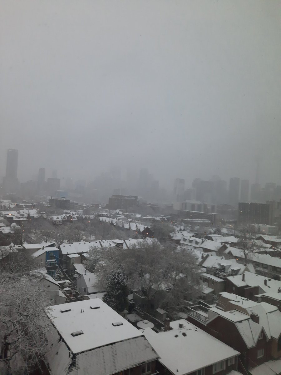 SharkawyMD's tweet image. You might really need a mask outdoors in Toronto today...plus gloves, a tuque &amp;amp; snow tires. #CanadianSpring #Snovid19