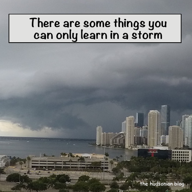 HudsonianThe's tweet photo. “There are some things you can only learn in a storm” - the hudsonian blog WoW 106 #words #wordsofwisdom #wordstoliveby #wisdom #wisdomquotes #quotes #quotesdaily #quotesoftheday #quotestoliveby #learn #storm #thehudsonianblog #canonlylearn #inastorm https://t.co/kMlRI5PNx9