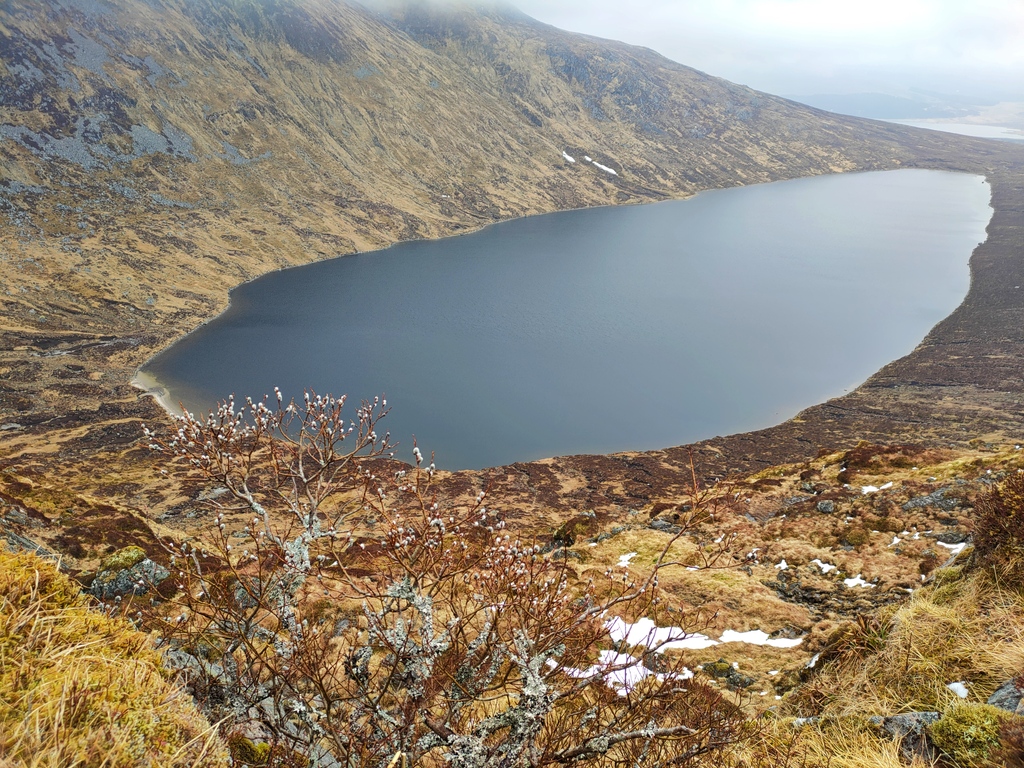 SwimWildUK's tweet photo. Adventure Swim 🏊‍♀️🏔️💙⁠ This time we circumnavigated Loch a'Bhealaich Leamhain, nestled in between Beinn a'Chlachair and Geal Chàrn (Laggan). ⁠Water chilly but crystal clear. ⁠#wildsimming #scotland https://t.co/twrksPGVTw