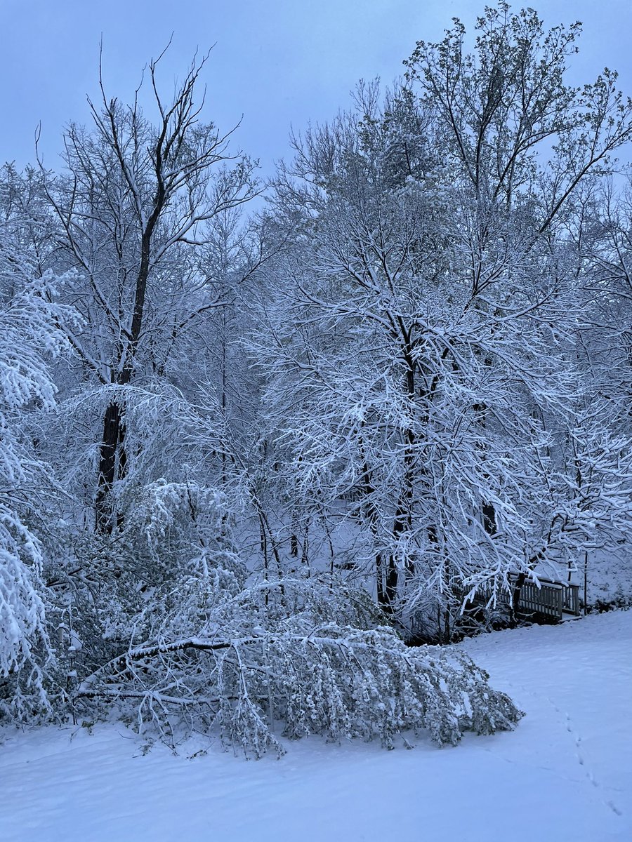 AlexTomoff's tweet photo. Didn’t we already do this before back in December? 4.5” of heavy wet snow as of 7 am. Another tree down in the backyard. @NWSCLE https://t.co/dEwJ4SCmxa