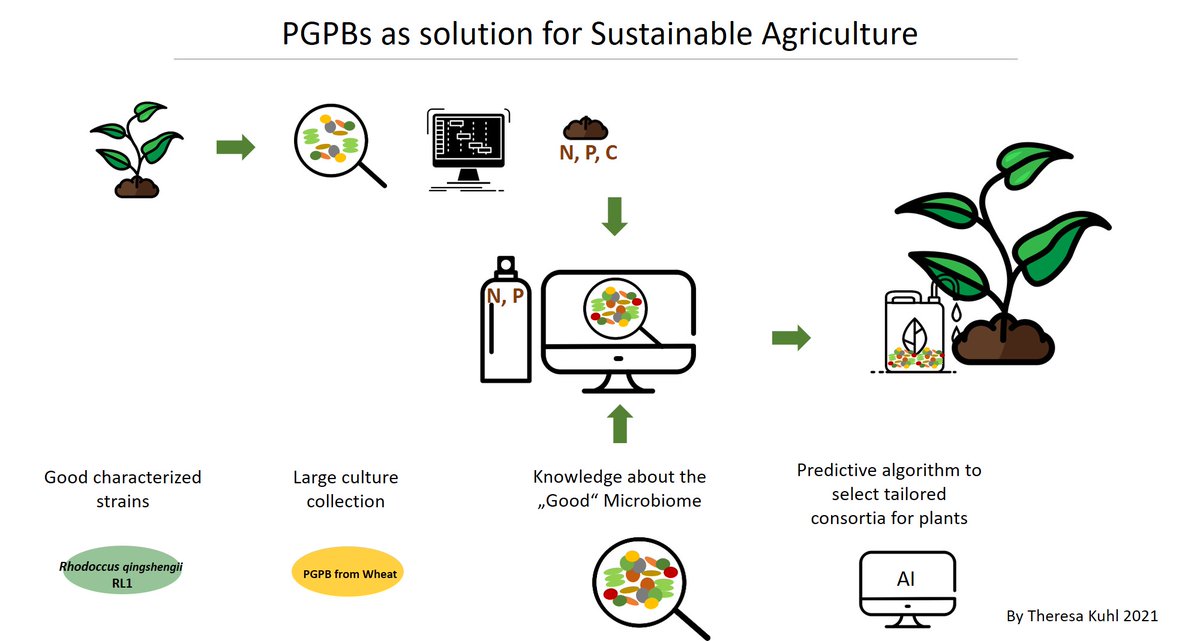 Tresacool's tweet photo. 4/4 My research can contribute to develop new #farming strategies including tailored microbial #consortia to support plants under different biotic and abiotic conditions. #YoungScientistsHMGU https://t.co/XOVH9Dk6ym