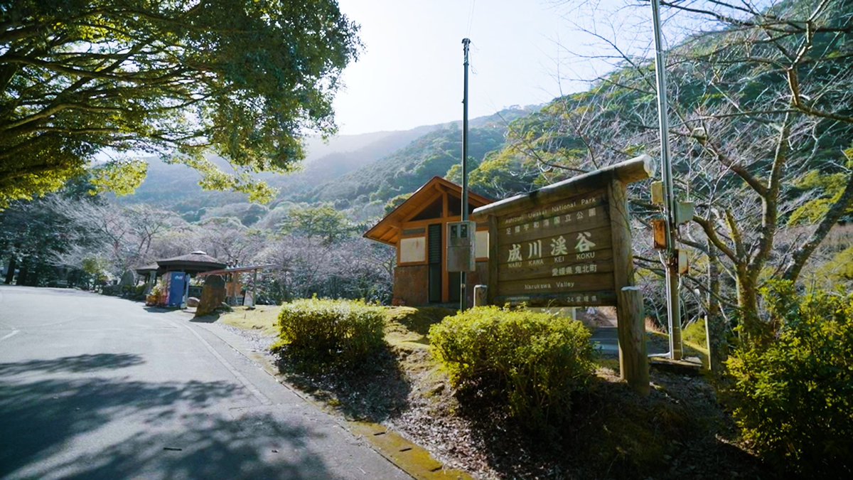 teratanuki3366's tweet photo. 愛媛県鬼北町にある『成川渓谷休養センター』さんの映像に出演しました🌟

大自然の中に囲まれて、温泉や食を楽しむことができ非日常が味わえます🌾

ぜひPR動画の方もみてください！
▶️https://t.co/u6U7DgQH3j
拡散してもらえると嬉しいです✨

出演はてらたぬ。ときみとバンドの大野真依さんです☽ https://t.co/nfhX5iEoot