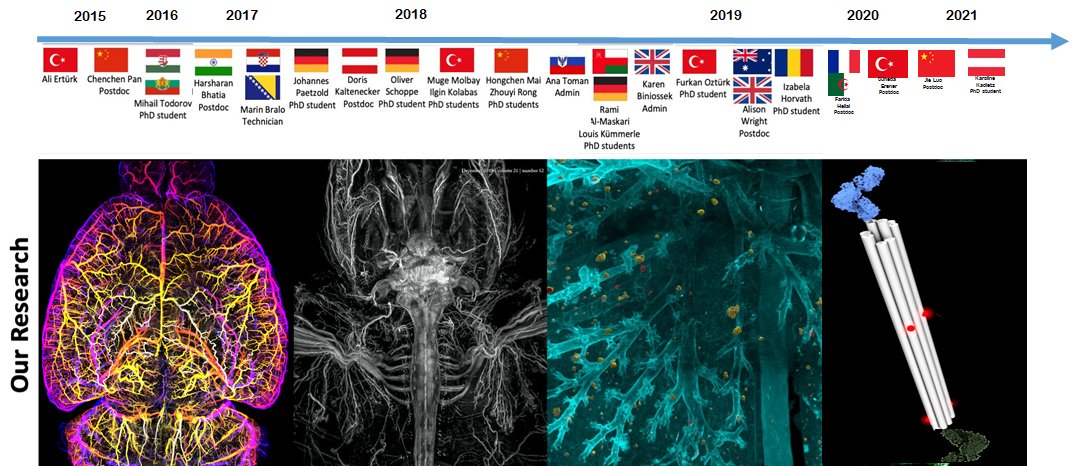 MolbayM's tweet photo. 1/4: To solve some of the major bottlenecks in research @erturklab, we combine #TissueClearing with biomedical research, #ArtificialIntelligence(AI), and #nanotechnology. #TwitterConference #YoungScientistsHMGU https://t.co/o12nOFeqbq