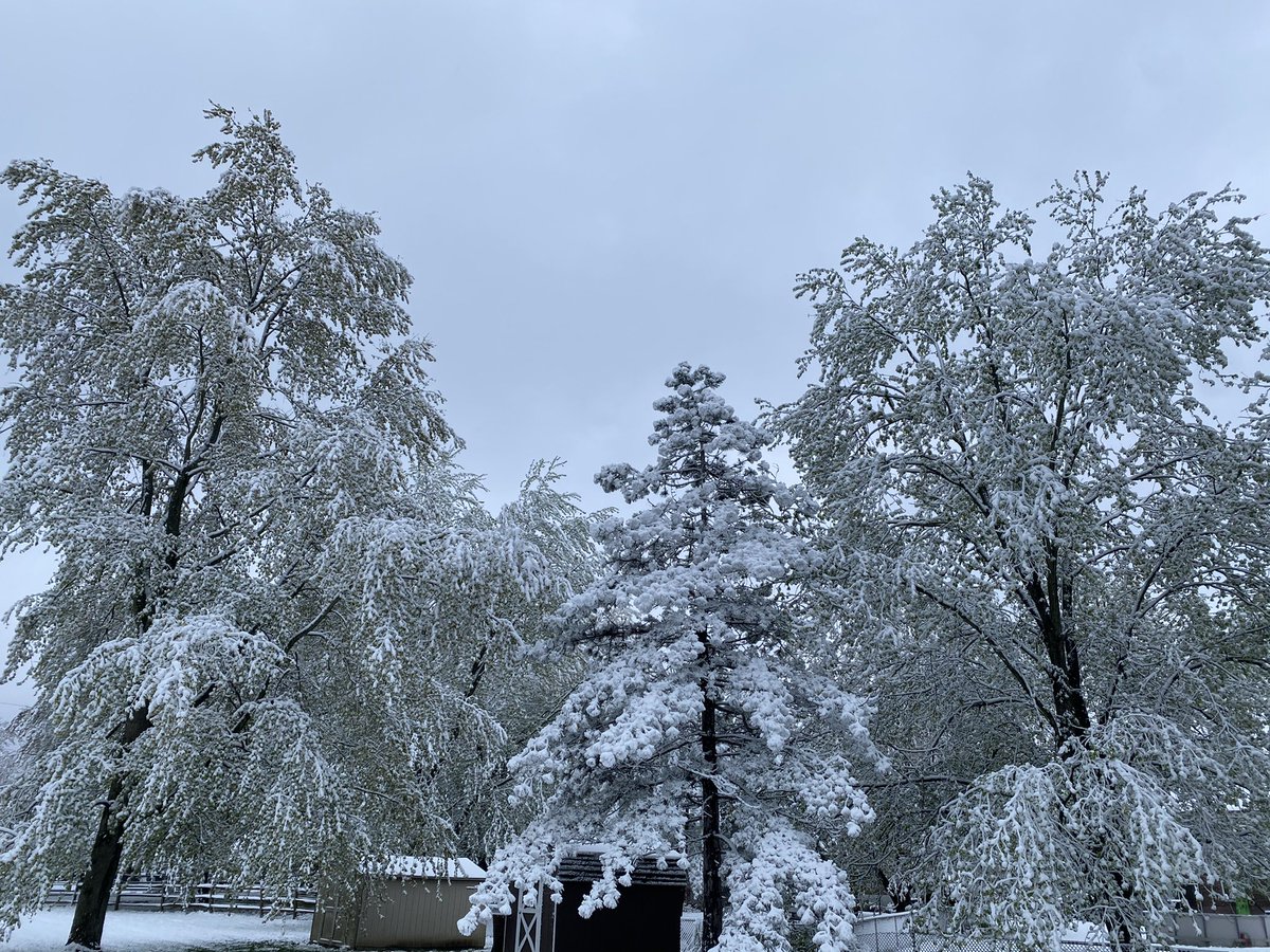 TonyDaTiger96's tweet photo. Isn't the snow so beautiful!.......Oh wait, not so much 😩. But that's ok Tony will put on his tree cutting gear and unblock driveway so we can get to work. Neighbors will be real happy! #snowinapril #fallingtrees #whodey #tonydatiger https://t.co/DGojezRZXA
