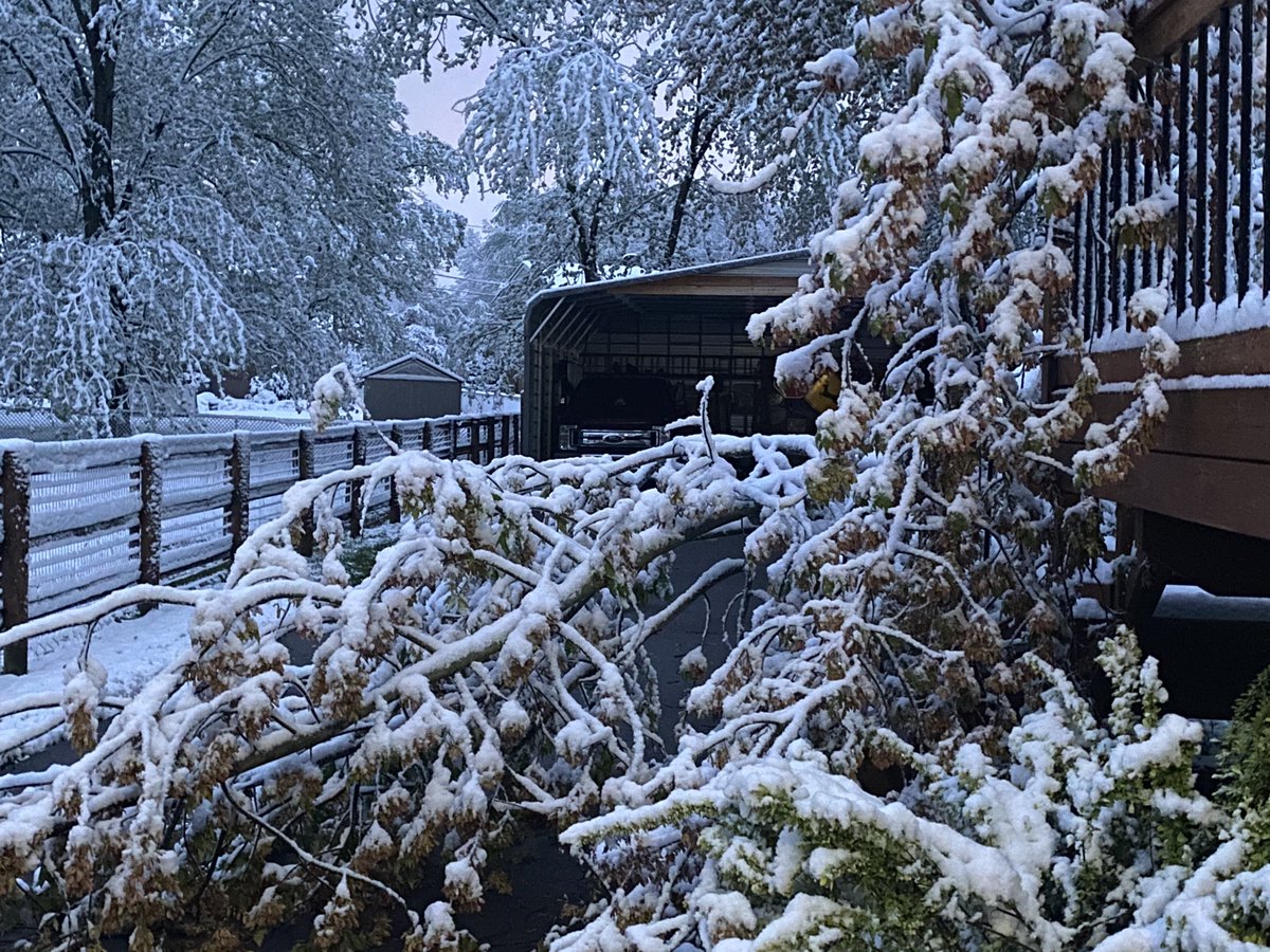 TonyDaTiger96's tweet photo. Isn't the snow so beautiful!.......Oh wait, not so much 😩. But that's ok Tony will put on his tree cutting gear and unblock driveway so we can get to work. Neighbors will be real happy! #snowinapril #fallingtrees #whodey #tonydatiger https://t.co/DGojezRZXA