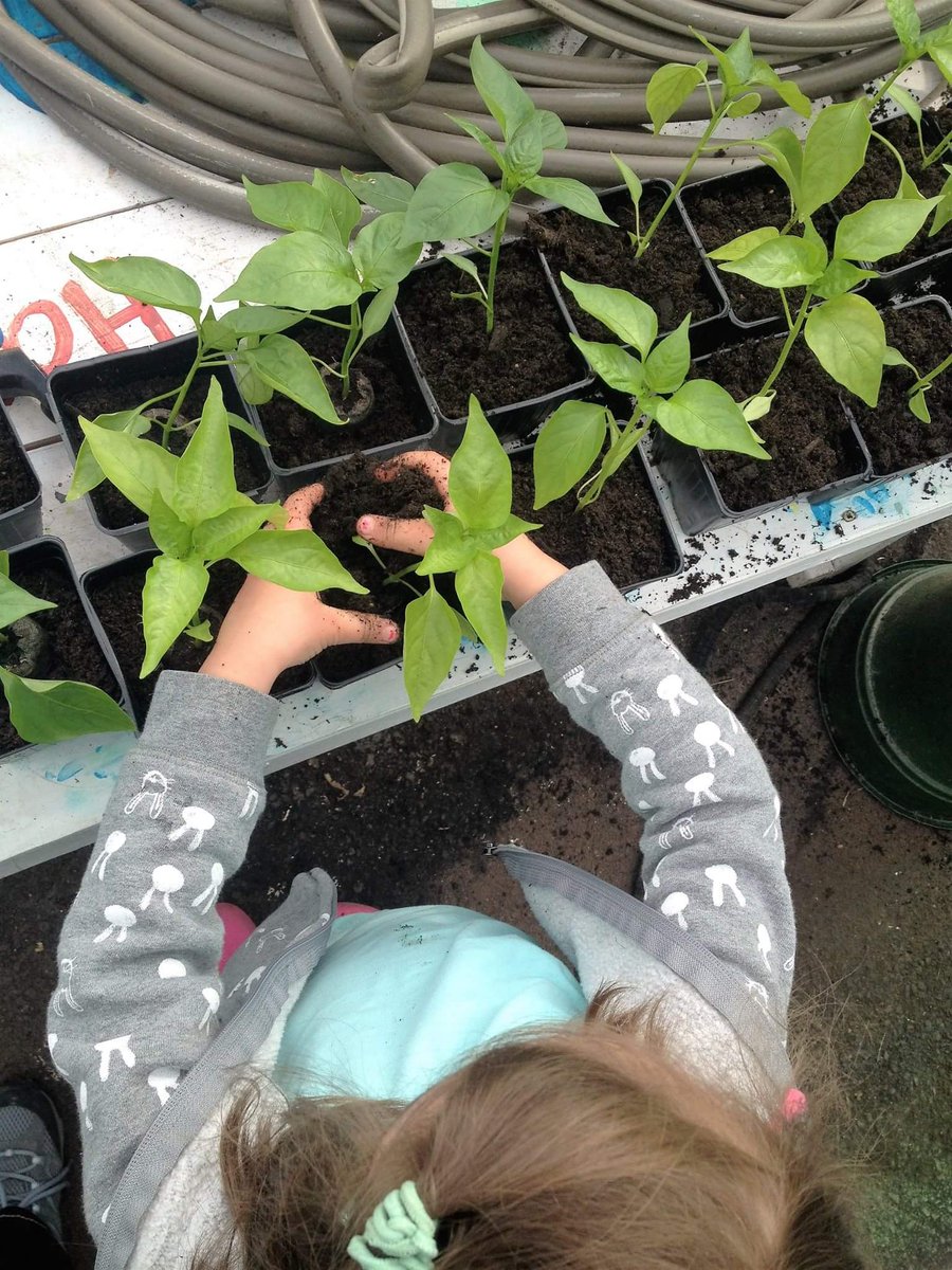 WECNL's tweet photo. Growing veggies in containers is a great way to ease into gardening! Do you want to learn how? 

Join our online workshop on Wednesday, April 28th at 7pm! Entry is $5 or free for WEC members.

RSVP Here: https://t.co/wIrQhuuWmu https://t.co/CCzeu35xyW