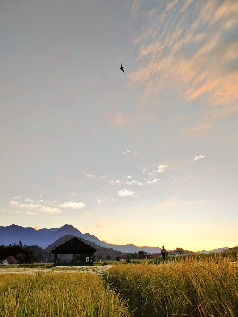Langit senja hari ini dari Sekarputih, Kota Wisata Batu, Jawa Timur. 🧡