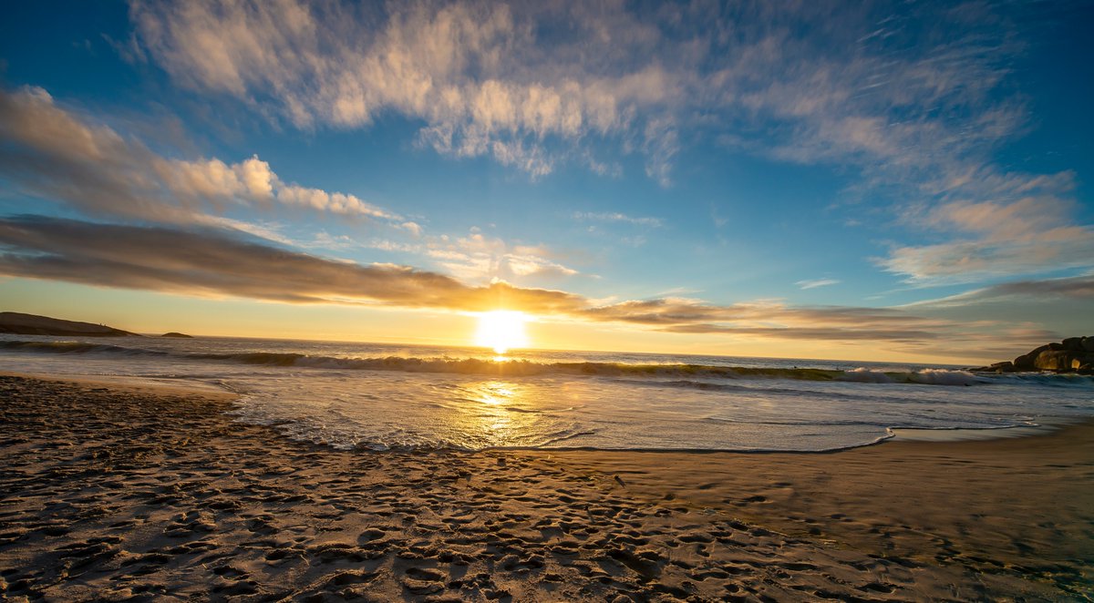 Health & Fitness SA tweet media