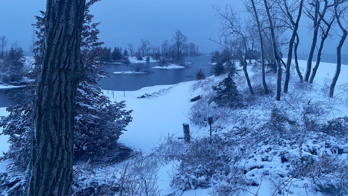 LongPointBirdOb's tweet photo. Snow day at #LPBO #migration #springsnow https://t.co/LiAVEWXvw8
