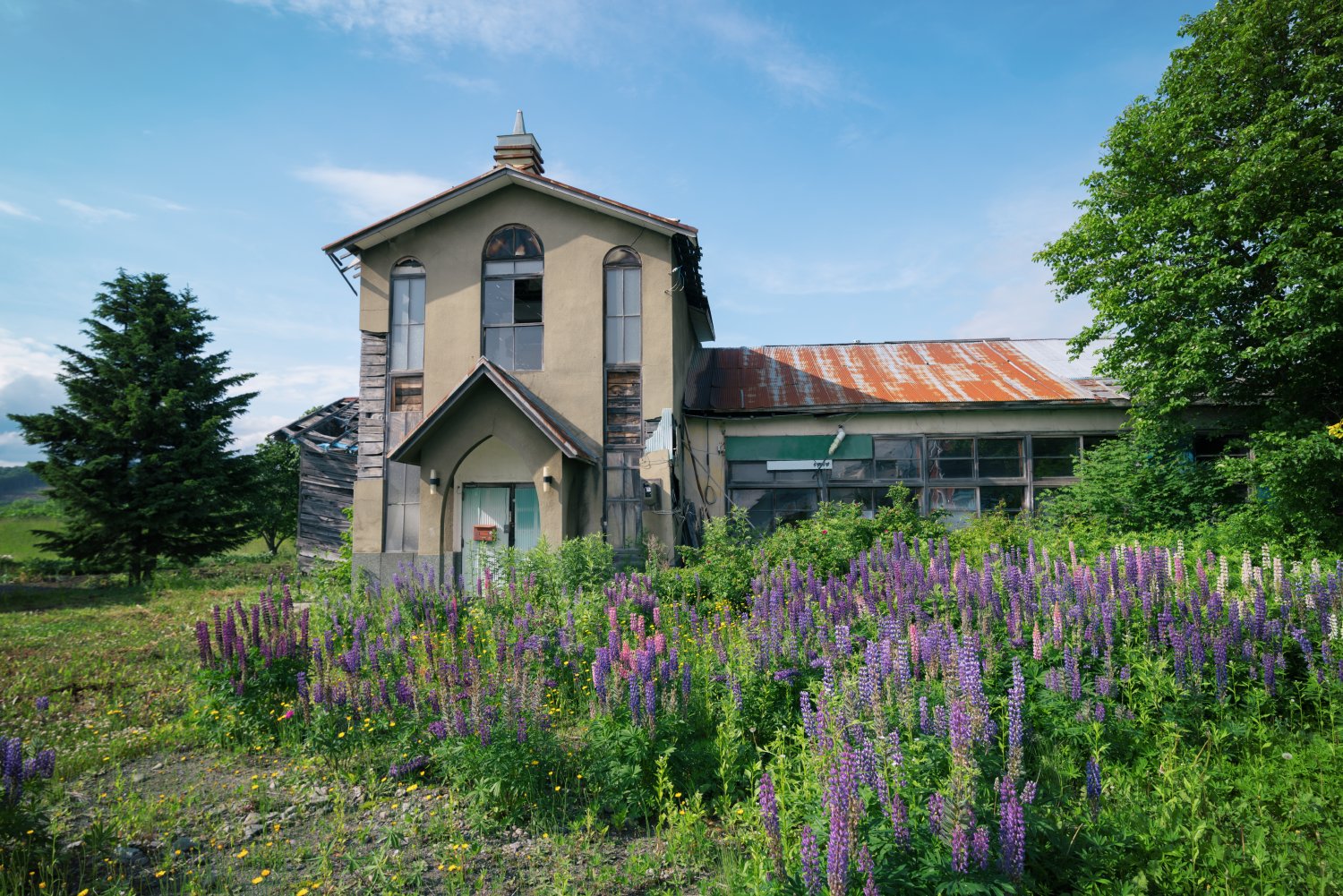 道民の人 Comitia 5 5 N27b 廃醫院 医療系グッズ 神の去った廃教会 北海道 のある農村地帯の一角に残る教会の廃墟 昭和末期に閉鎖され その後 工場に転用されたと聞いたが それも昔の話 小さな建物の周りは北海道の離農廃村地帯でよく見かける