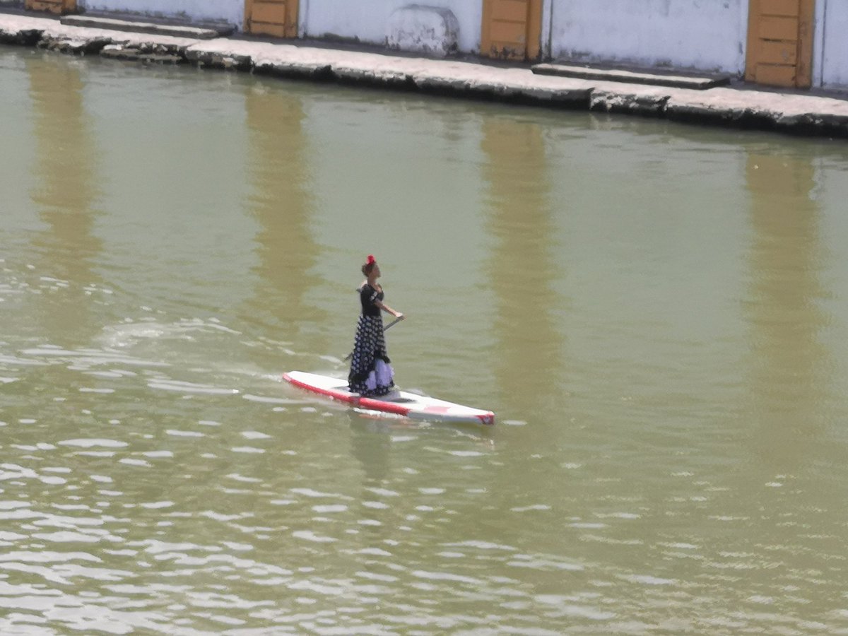 Nandiiux's tweet photo. La flamenca por el #Gualdalquivir haciendo  paddle surf 😂😂😂
#feriadeabril @ateneodesevilla
@diariosevilla https://t.co/VFTPBg0K5y