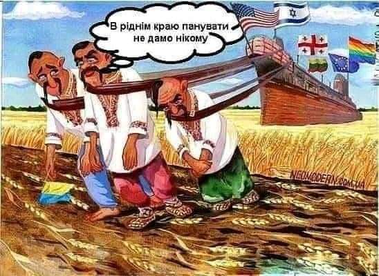 Свидомитов нет