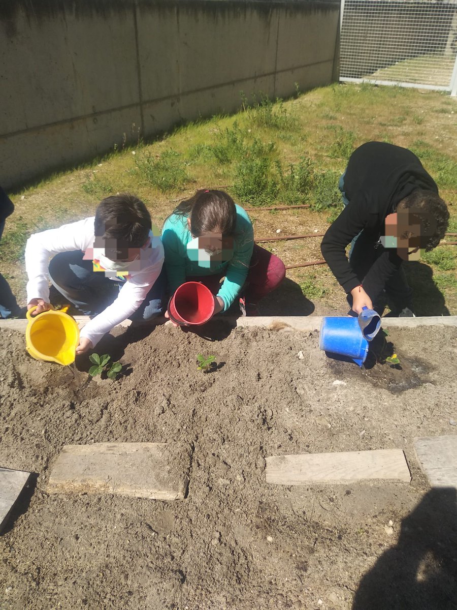 "El huerto escolar del Ceip Francisco Pino" a cargo de los alumnos de 2º y 4º de primaria  ¡Qué emocionante!
Todos los que quieran participar en el huerto aportando ideas, tiempo o recursos. ¡SERÁN BIENVENIDOS!  @ceipfranciscopino <a href="/cfievalladolid/">CFIE VALLADOLID</a>
 #huertosescolares <a href="/innovando/">Jerry_Garica</a>