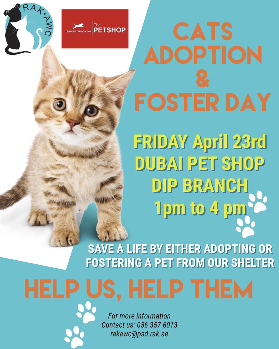 The Pet Shop Dubai Dip informacionpublica.svet.gob.gt