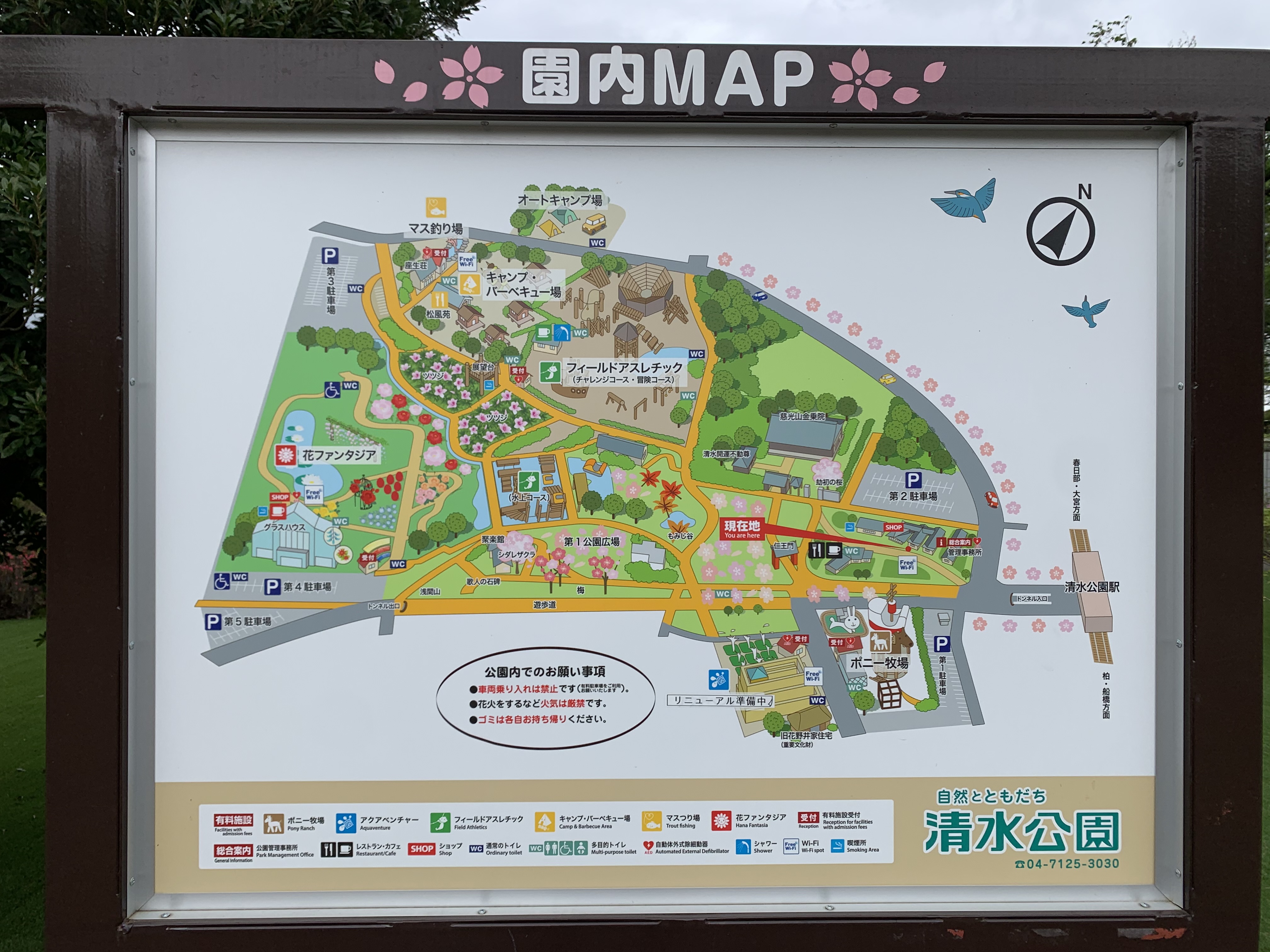 銀座プラネットサービス 少人数旅行 貸切旅行 清水公園 花ファンタジア 象さんや熊さん ワンちゃんもいます 旅行 ネモフィラ 国内旅行 観光地 観光 旅 お家で旅行 旅行記 清水公園 野田市 千葉県 花ファンタジア キャンプ場