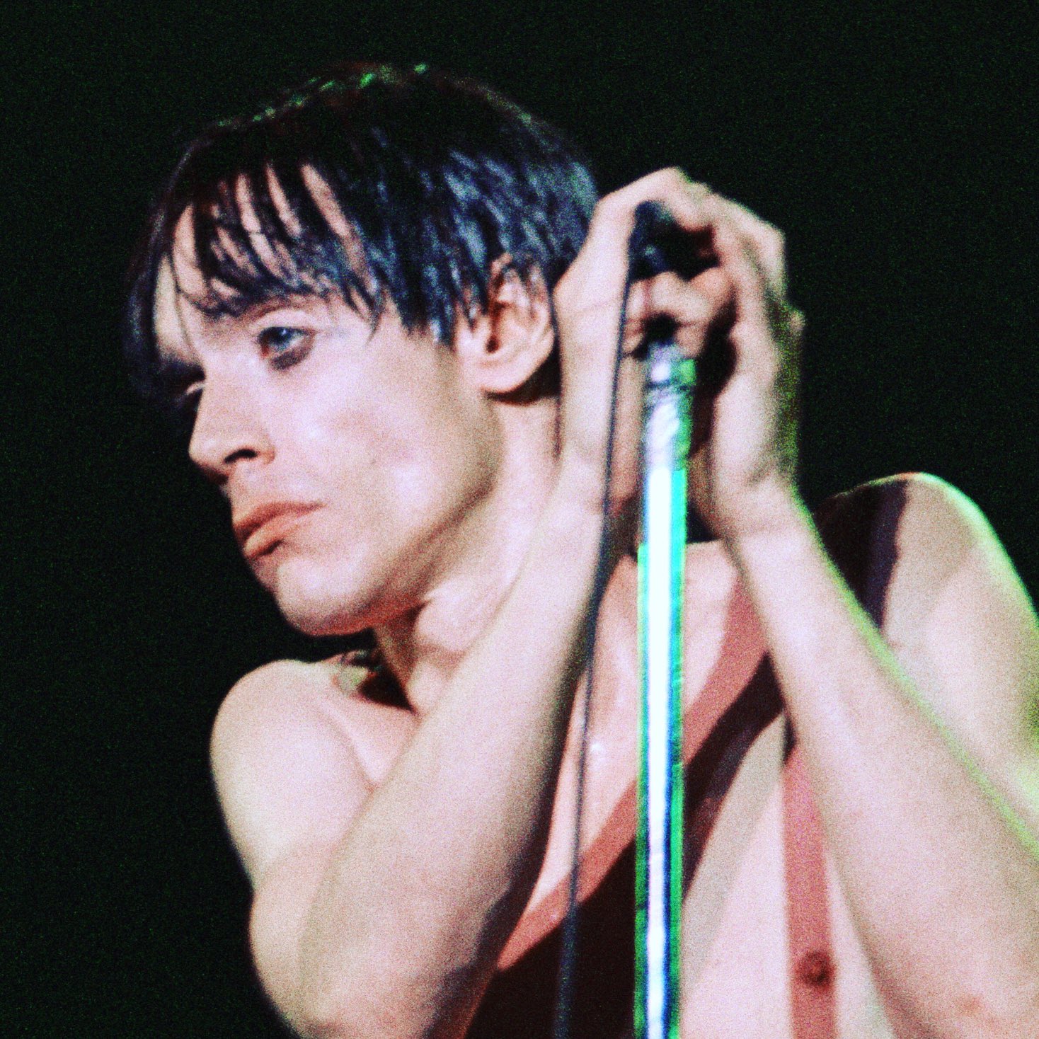 Happy Birthday to Iggy Pop! 