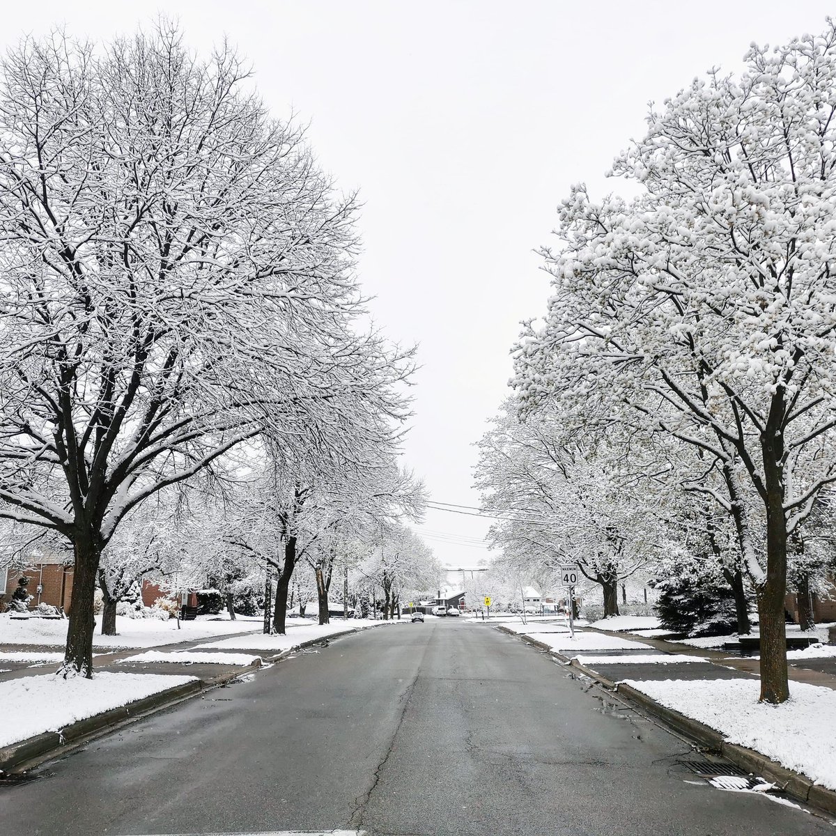 DailyDriver24's tweet image. #winterwonderland Not what I expected to wake up to on April 21st, 2021! 
#winter #snow #wrong #photographer #photooftheday #photos #huawei @huaweimobilecan #photosofinstagram #photographylife #photography #followｍe #nofilter #nofilterneeded