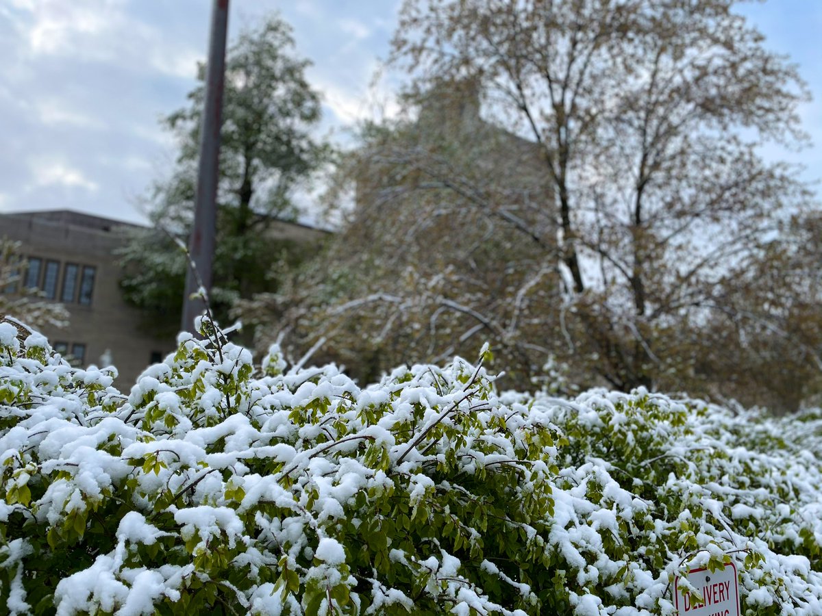 Austen Parrish (@austenparrish) on Twitter photo A dusting of snow just seems wrong for Bloomington in April. It’s melted now and the sun is shining; but photos from this morning outside <a href="/IUMaurerLaw/">IUMaurerLaw</a>. A dusting of snow just seems wrong for Bloomington in April. It’s melted now and the sun is shining; but photos from this morning outside <a href="/IUMaurerLaw/">IUMaurerLaw</a>.