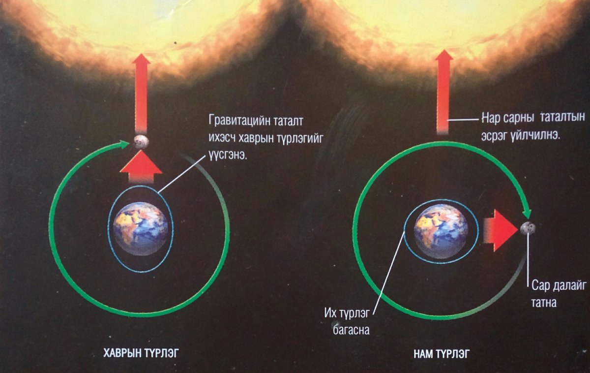 Далайн усны татлага түрлэг нь сарны гравитацийн таталтаас үүдэлтэй. Сар тодорхой байрлалаар өнгөрөх үед сар дэлхийг татах ба гадарга дээрх далайг илүү хүчтэй татдаг байна.
