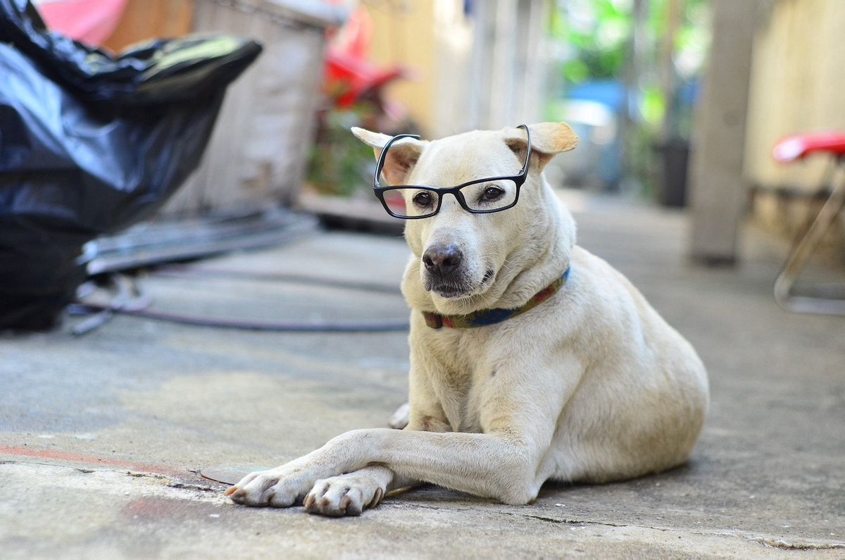 ParticularSW's tweet image. A new integration sample is one of the things we added during our recent #AzureQueues enhancement release. See how to send messages natively from other languages/platforms and have them understood by NServiceBus. buff.ly/2Ox02CU