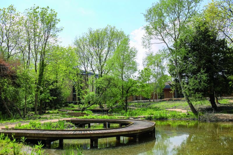 TheOxfordTrust's tweet image. On #EarthDay2021 we are proud to be helping #mothernature regenerate the badly neglected #stansfeldpark. Still a long way to go getting 15 acres fully up to scratch but making a big difference to the ecology over the past 4 years. 
@WildOxfordshire @HeadingtonNews