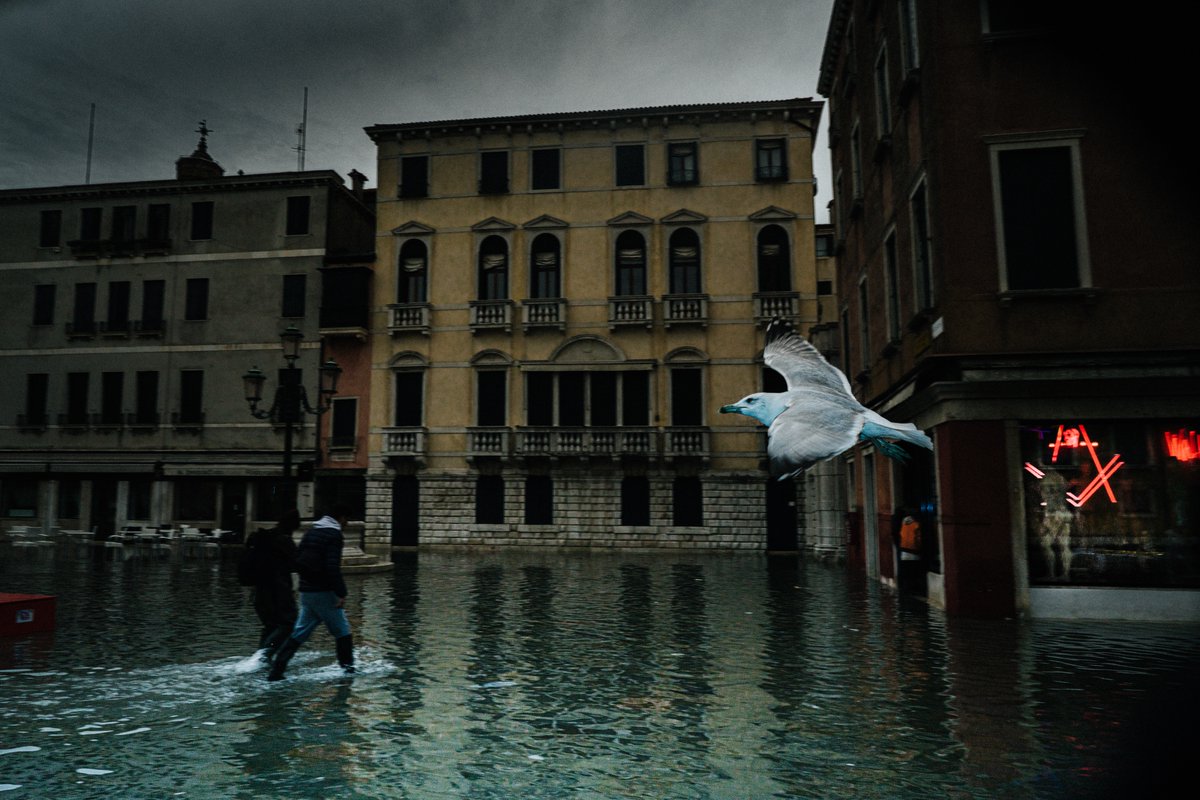 Ricordi quella notte? Hai messaggi o immagini che vuoi condividere nell'archivio multimediale aquagrandainvenice.it ? Puoi inviarcelo al nostro indirizzo aquagranda@unive.it Foto di Maria Grazia Baruffi #aquagranda #Venice #venezia1600