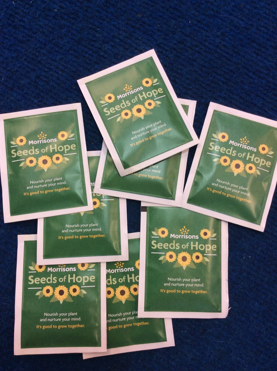 Can’t wait to plant these, thank you Morrison’s 😄