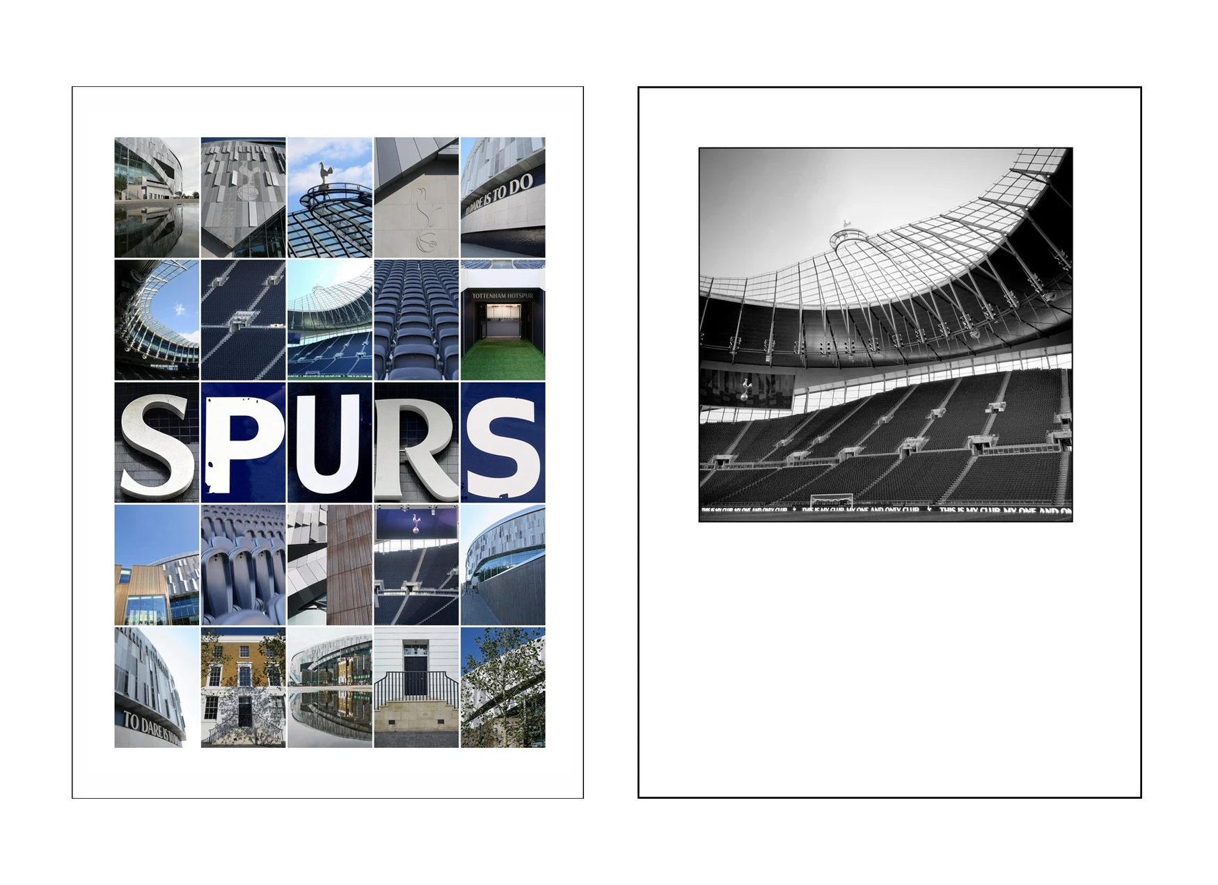 The Spurs Stadium - Tottenham Hotspur