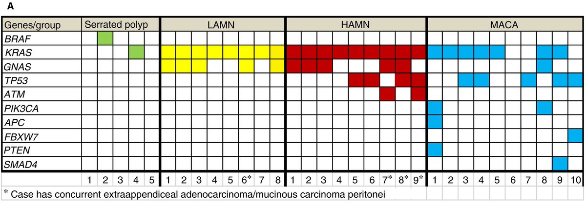 26/ The main molecular finding in LAMN is KRAS and GNAS mutations (Ref:  https://bit.ly/3kXoFod ). GNAS is rare in appendiceal mucinous adenocarcinoma (and I wonder if most reported cases were actually exploded LAMNs). So ... who knows. Image ref:  https://bit.ly/3riGYq8 