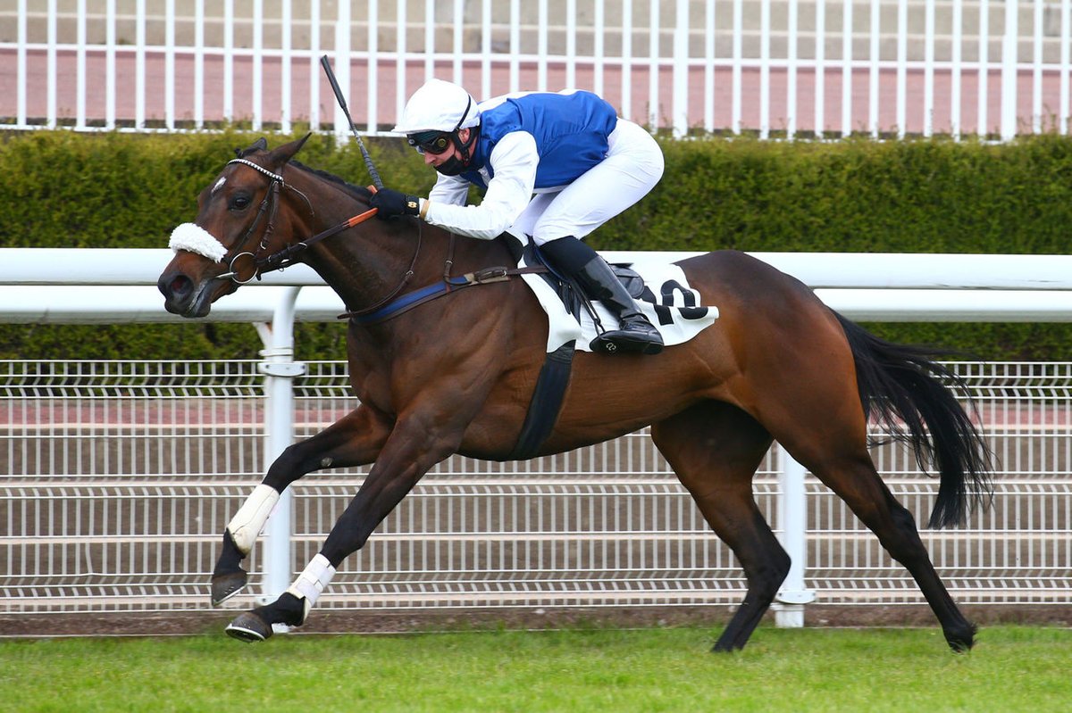 1er succès en obstacle pour HAKELA DU SEUIL (Poliglote) dans le Prix Claude Cohen (Haies) à @Hippo_Auteuil. Cette pouliche appartient à Mme Marc Boudot, son éleveur et @EcurieSeror, son entraîneur. Elle était montée par Nicolas Gauffenic. 📸@ScoopDyga