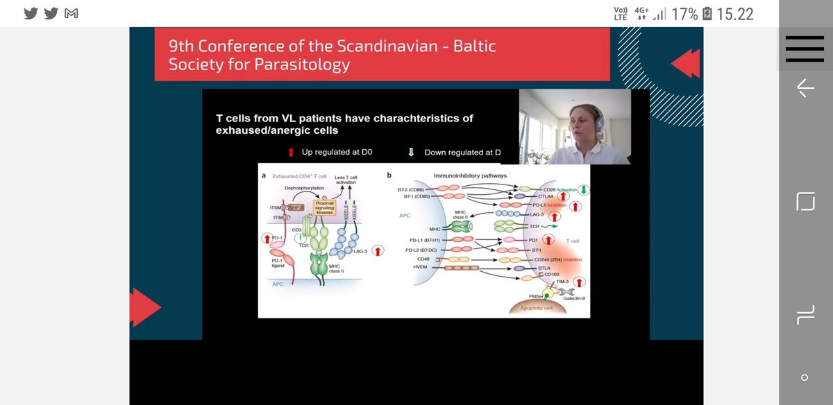 PikkaJokelainen's tweet photo. Keynote by Susanne Nylรฉn at #CSBSP9
#immunology #parasitology
@_SBSP_ https://t.co/czMdi5BofE