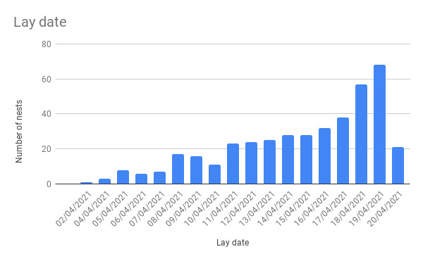Egg laying has really taken off in the last week too. This chart shows the distribution of first egg lay dates up until yesterday (there may be more who started to lay yesterday). There has been a steady increase in the number of pairs beginning to lay their clutches.