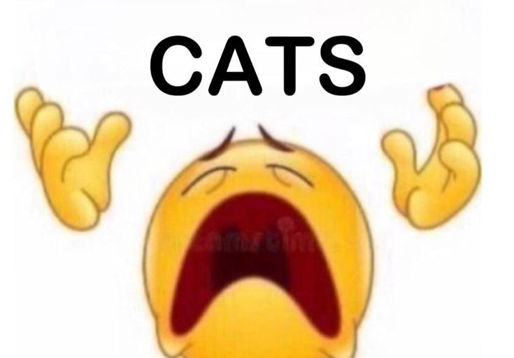 thinking about milnyu (hiatus) (@milnyuthoughts) on Twitter photo 