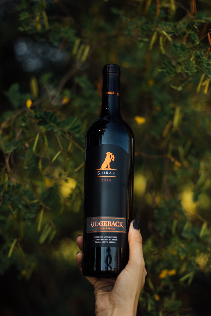 Yesterday was a good day 🥂 <a href="/Ridgebackwines1/">Ridgebackwines</a> #ridgebackwines