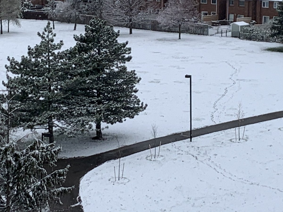 VeroAma3113's tweet image. Did I just sleep through three seasons and woke up straight into winter? Where did Spring go? #Mississauga #ONStorm #CanadianSpring 🌿🌷🍃🌲🌻🌳🌻🌿🌷🌱🌷🌲