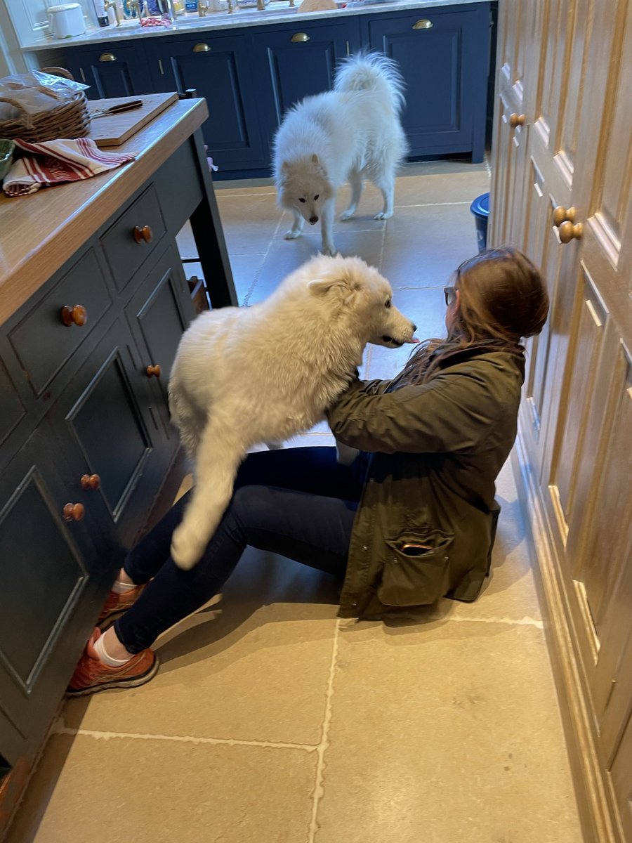 Shameless mercenary self promotion! Bite me. Bonus clickbait of Pashka and Kolya mauling Christina for, I guess, balance or something? orchidclassics.com/releases/2970/