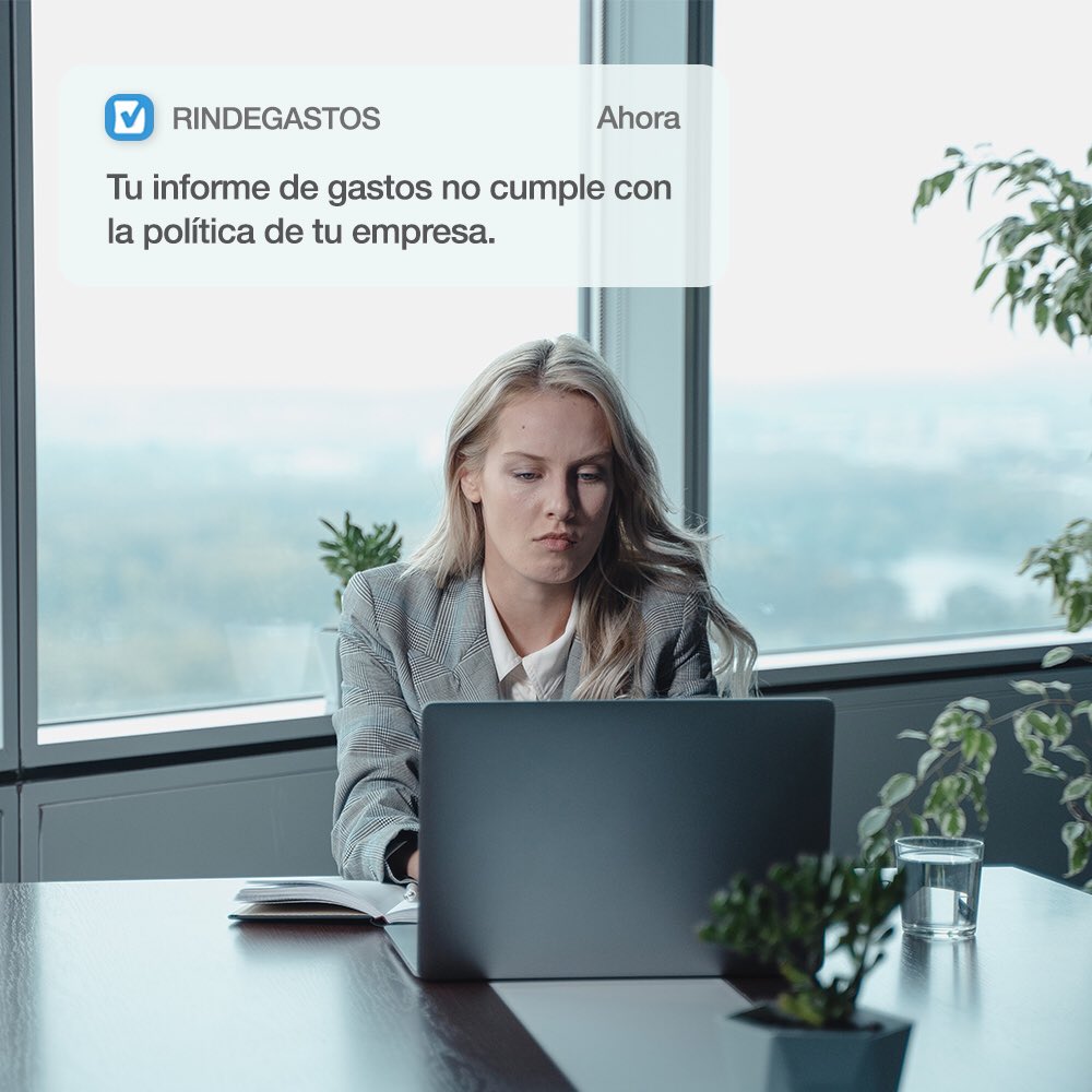 Rindegastos tweet media