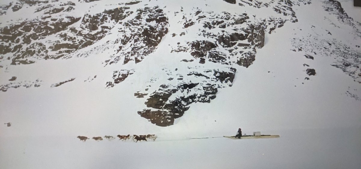 On #NationalCanadianFilmDay, my Ss and I had the opportunity to watch "Wonders of the Arctic" Highly recommend! 

Thank you <a href="/OntScienceCtr/">Ontario Science Centre</a> for providing free access to the movie TODAY only!