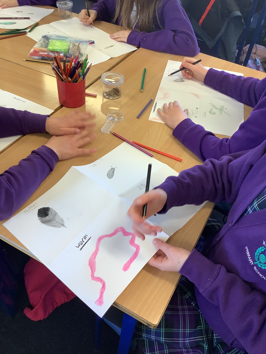 We honed our observation skills 👀 and took the time to look closer at the natural world! 🪲🐛🪱🐜🕷@RSPB_Learning <a href="/RAiSE_falkirk/">Falkirk STEM</a> <a href="/KPS_STEM/">KPS_STEM</a> #WildChallenge #RSPBSilverAward