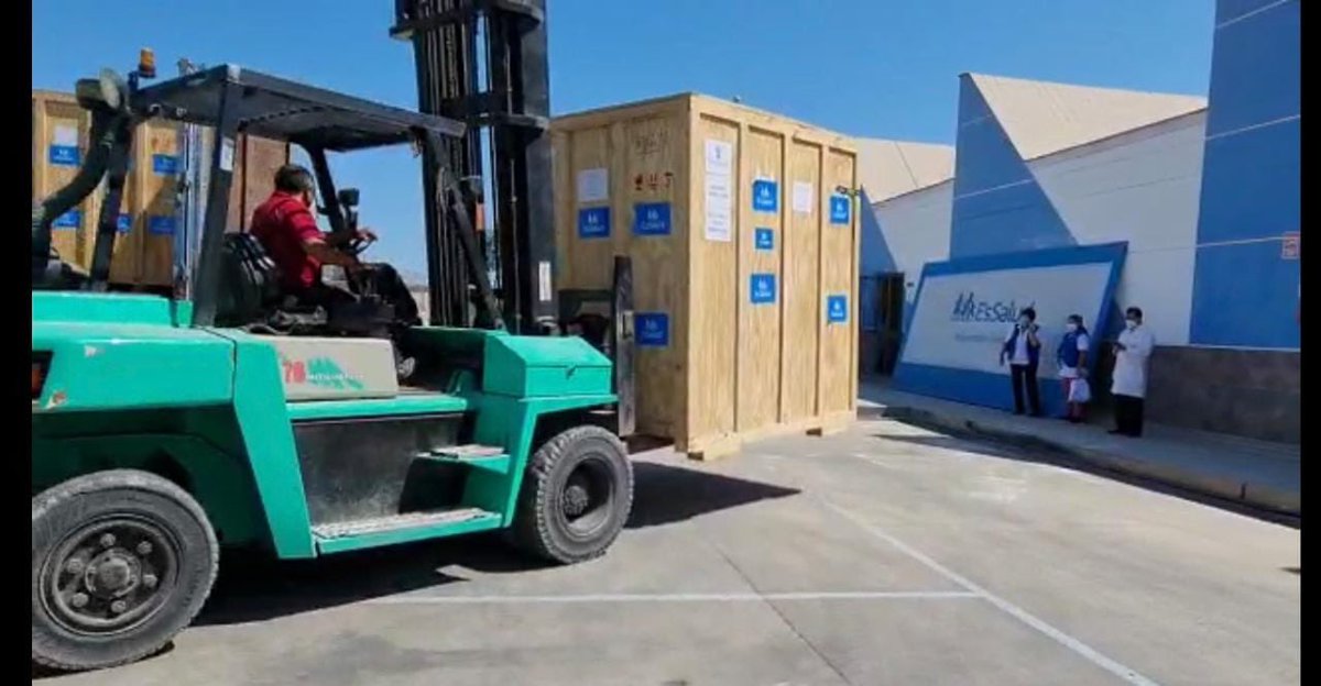 Fiorella Molinelli tweet media