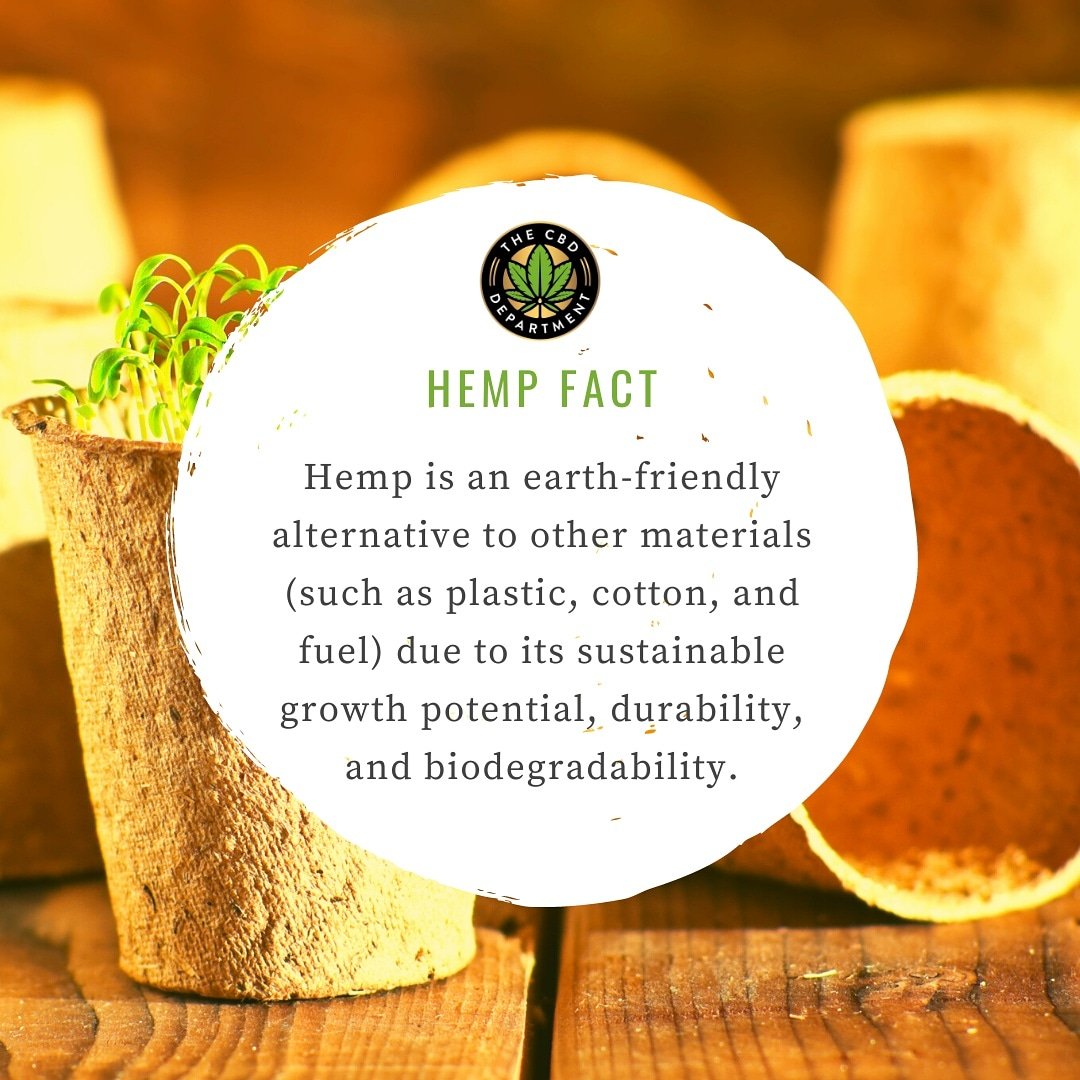 We're big advocates for hemp. And the earth. So we're on a campaign for both, #creatingbetterdaze for us and for our planet!

#hempfacts #cbd #creatingbetterdaze #thecbddepartment #cbddepartment #hempoil #hempuses #earthday2021 #earth #savetheplanet #EarthDayEveryDay #sustainable