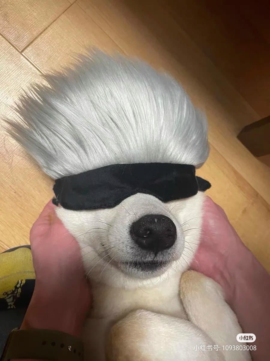 WholesomeMeme's tweet image. 