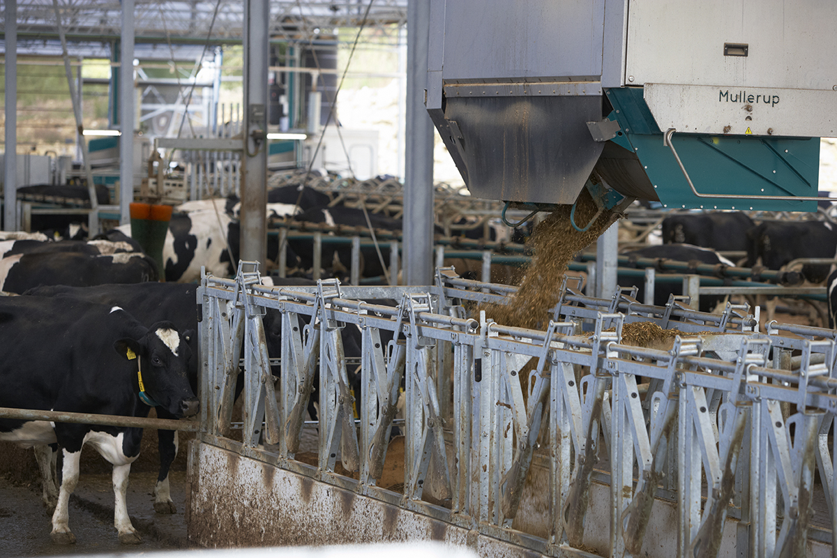 Want to work at a state-of-the -art dairy research centre with three GEA Monobox Robots &amp; an automated indoor feeding system? Then this a role for you! Apply here ➡ indeedhi.re/3tCAvYl
#farming #teamdairy #farmjobs