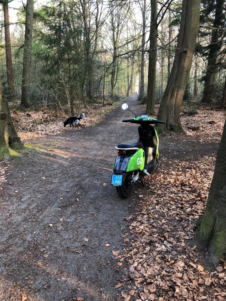 #Nutteloos! Go Sharing scooter midden in #Asserbos! Sta in de weg? Nee, daar niet! Verkeerd geparkeerd? Dat zeker! <a href="/Gemeente_Assen/">Gemeente Assen</a> volgens mij is het ‘groene missie’ project mislukt en worden scooters overal gedropt (ga lekker fietsen). En ‘300 maal fout is OUT!