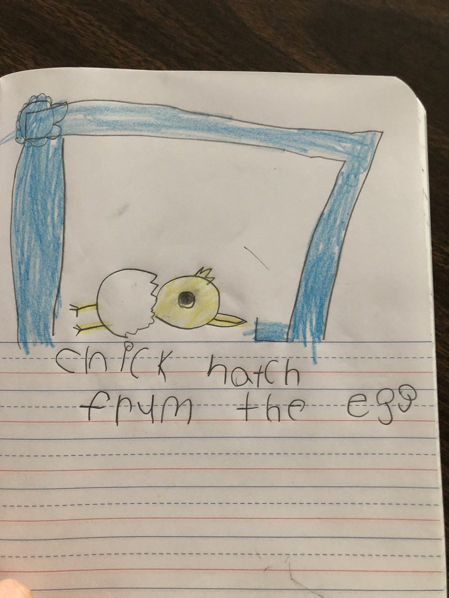 gves_smith's tweet photo. We are so excited to watch the kindergarten classes’ chicks hatch! @GreenValleyElem @TaylorTweetsK @MrsSchillaciK @MrsHardyGVESK https://t.co/lUcBtEZxXd