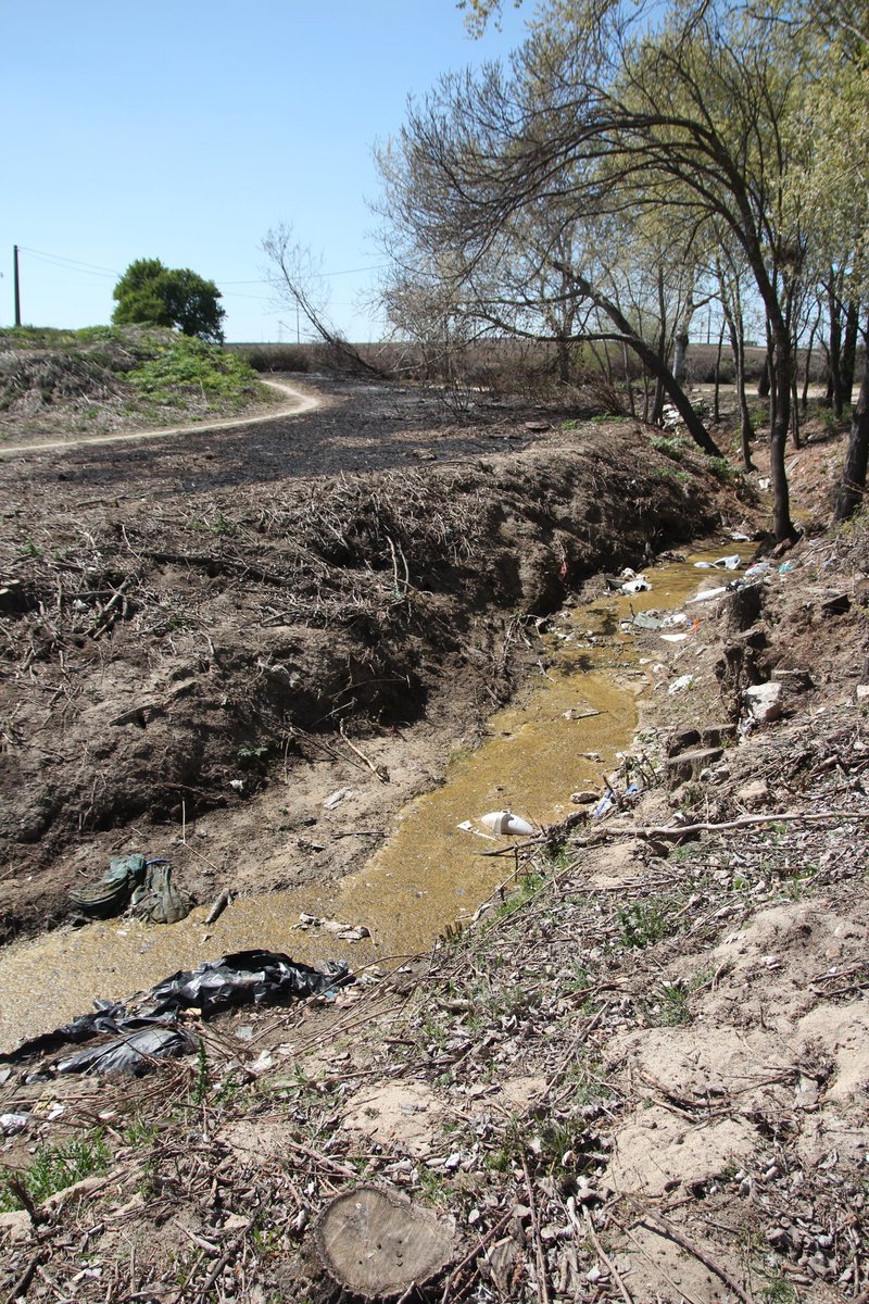 Ecologistas en Acción Parla tweet media
