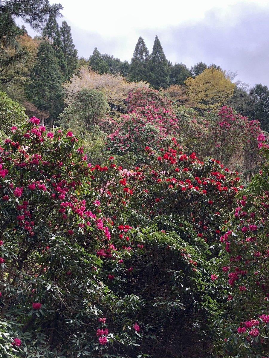 天城グリーンガーデン